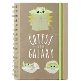 STAR WARS: THE MANDALORIAN (CUTEST IN THE GALAXY) A5