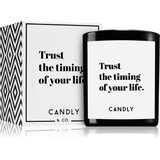 Candly & Co. Trust the timing mirisna svijeća 250 g | shoptok.hr