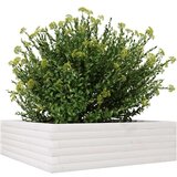  Vrtna sadilica bijela 80 x 80 x 23 cm od masivne borovine | shoptok.hr