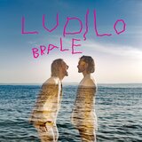 POSNETI MEDIJI LUKA NIŽETIĆ - LUDILO BRALE, (21009889) | Shoptok.si