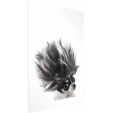  Plakat - Chihuahua 60x90 Bez okvira s margom | shoptok.hr