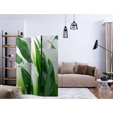  Paravan u 3 dijela - bunch of flowers - callas [Room Dividers] 135x172 | shoptok.hr