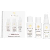 Innersense Organic Beauty colour travel trio Cene