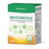 PROtect Rehydrosal prašak za pripremu rastvora za rehidraciju 10 kesica Cene