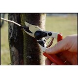 Felco makaze za orezivanje 12 | ePonuda.com