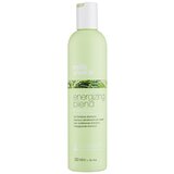 Milk Shake energizing Blend Shampoo - 300 ml Cene