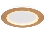 Globo plafonjera clay 41767-30R Cene