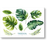  Slike na platnu sa tekstom Tropical set (moderne slike sa) | shoptok.hr