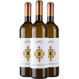 Vinarija Dika AKCIJA 2+1 Dika Sauvignon Blanc | Eponuda.com
