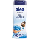  Gel za tuširanje OLEA Spa minerals 300ml Cene