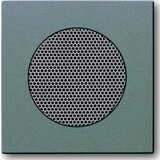 Busch-Jaeger Centralni disk meteor/gr 8253-803, (20891420) | Shoptok.si