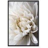  Slika - White Dahlia 80x120 | shoptok.hr