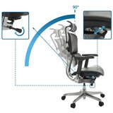 MID.YOU Pisarniški Stol Ergohuman Gen2, Črna | Shoptok.si