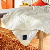Billerbeck poletna odeja bamboo superlight 135/200 cm | Shoptok.si