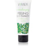 VIANEK Normalizing Facial Scrub Cijene