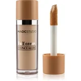 Full Cover tekoči korektor za polno prekrivanje odtenek 01 Light Neutral 4.8 g