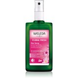 Weleda Wild Rose deodorant iz vrtnic brez aluminijevih soli 100 ml za ženske Cene