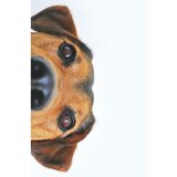 Conceptum Hypnose tepih (80 x 120) WOOKECE082 | ePonuda.com