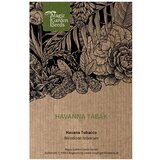  Havanski tobak - semena - 1 pkt. | Shoptok.si