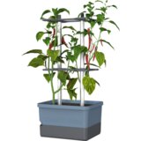 Gusta Garden Charly Chili - rastlinski lonec - Modra Cene