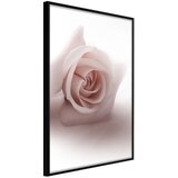  Poster - Subtle Flower 40x60 Cijene