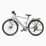 DYU Mestno električno kolo Stroll 1, 250 W, 36 V, 9 Ah, asistenčni doseg 100 km, srebrno, (21960352) | Shoptok.si