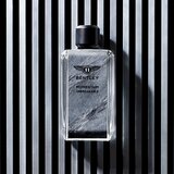 Bentley Momentum Unbreakable parfumska voda 100 ml za moške | Shoptok.si