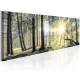  Slika - Morning Forest 150x50 Cijene
