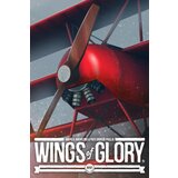 Steam Wings of Glory Key (PC) GLOBAL | ePonuda.com