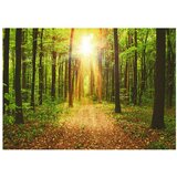  Tapeta - Mirror of Nature 150x105 | shoptok.hr