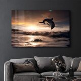 WALLXPERT OGLS-1111 - Višenamensko Tempered Staklo sa Šarenim Printom | Eponuda.com