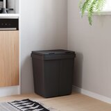 vidaXL Dvojni smetnjak antracit 2x25 L Cene