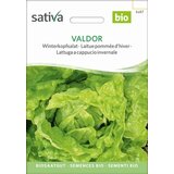 Sativa Zimska glavnata solata Valdor Cene