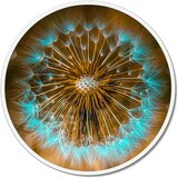 Pintdecor Zidni ukras Soffione turchese | shoptok.hr