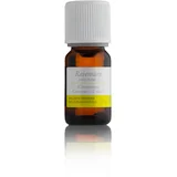 Eterično olje Ravintsara (Cinnamomum camphora ct. Cineol), 10 ml