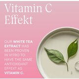 Weleda Wild Rose & White Tea poklon set za sjaj i zaglađivanje kože lica | shoptok.hr