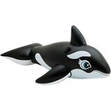 Intex delfin na napuhavanje za vodu | Eponuda.ba