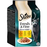  Ekonomično pakiranje Sheba Fresh & Fine 72 x 50 g - Puretina, piletina i perad u želeu | shoptok.hr