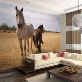  Tapeta - Horse and foal 400x309 | shoptok.hr