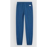 O&amp;#039;neill Essentials Sweat Kids Pants regal blue Slike