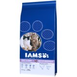 IAMS Pro Active Health Adult Multi-Cat Household - 15 kg | shoptok.hr