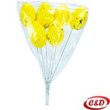 Jaja na štapiću 6/1 | Eponuda.ba