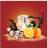 Old Spice Deep Sea XMASS darilni set (za moške) Cene