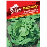 Sjeme povrća MAXI HOBBY 53 SALATA ZAGREBAČKA KRISTALKA