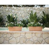 Artevasi Korito za rože 32 cm Siza – | Shoptok.si