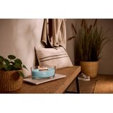 WoodWick Cedarwood & Ocean Moss dišeča sveča z lesenim stenjem 453.6 g | Shoptok.si