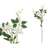  CVIJET KLEMATIS 71CM BIJELI PVC Cijene