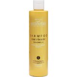 MaterNatura Šampon s kamilico - 250 ml | Shoptok.si