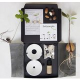 Botanopia Darilni set "Deluxe kalitev in razmnoževanje" Cene