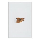Conceptum Hypnose tepih (120x180) WOOKECE086 | ePonuda.com